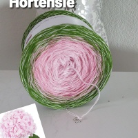 Hortensie